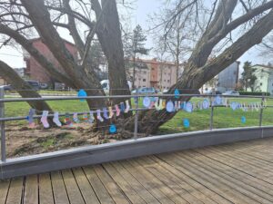 Modre misli in pisane nogavičke smo razobesili po Vipavi.