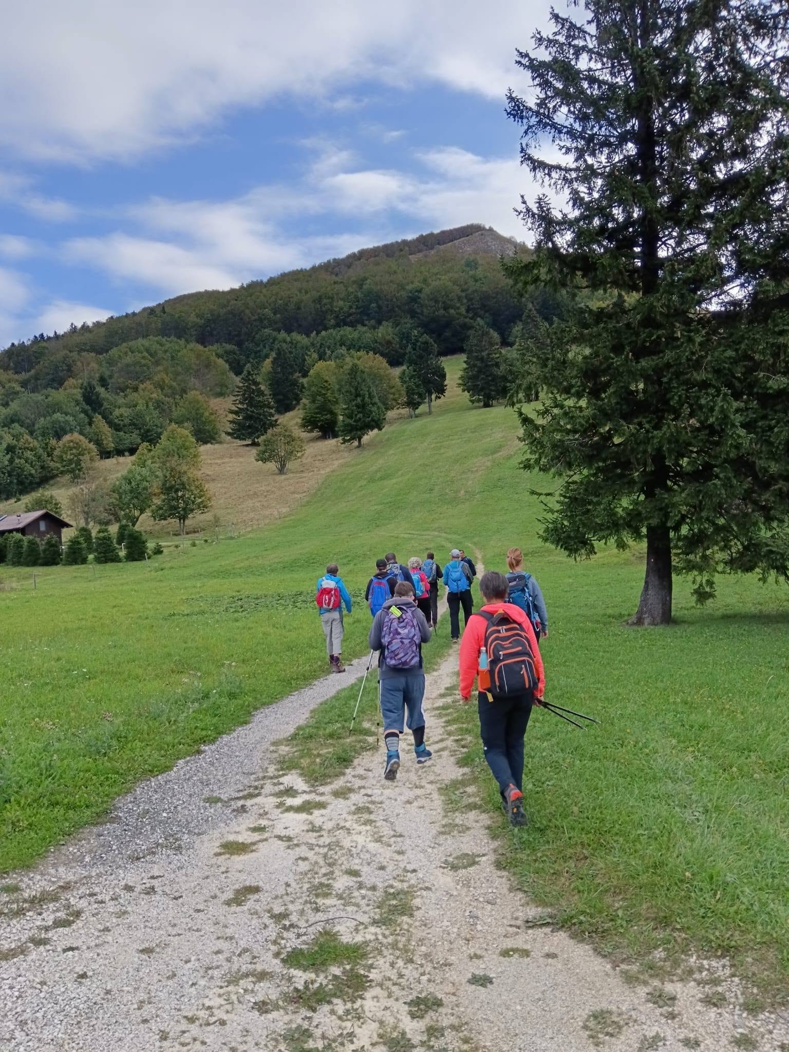 Pohodniška skupina hodi po makedamski poti proti Streliškemu vrhu. V daljavi se vidi lepo ozelenel vrh hriba.
